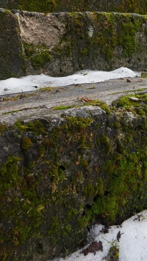 Close-up of moss-covered stone seating with thin patches of melting snow Stock Footage 333655890
