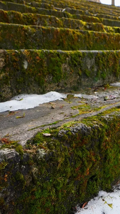 Close-up of moss-covered stone tiers with patches of melting snow, capturing Vídeos de archivo 333655810