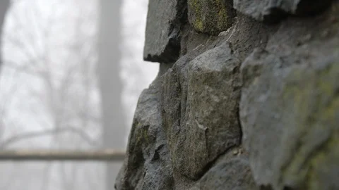 Close up on moss covered stone wall Stock Footage 104525627
