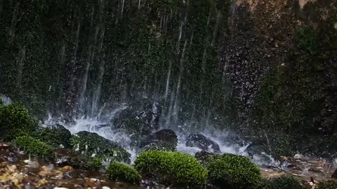 Close Up of Moss Underneath Bryophyta Waterfall in Japan Stock Footage 104040100