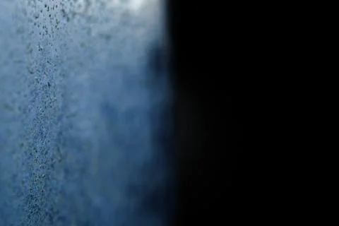 Close up moss on the window panel Foto stock