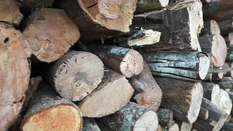 Close up motion along chopped stacked firewood. Pile of wood logs prepared for Stock Footage 238378914