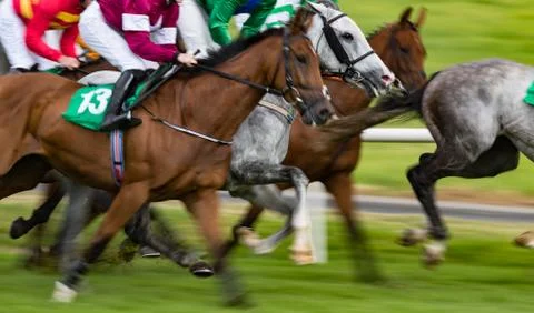 Close up motion blur horse racing action Stock Photos