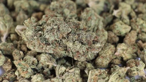 Close up motion of Cannabis Video stock 92956542
