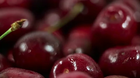 Close-up in motion. de-focused scene. lots of juicy cherries with drops of dew. Stock Footage 61218480
