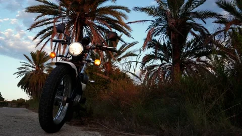 Close up of a motorcycle with warning light with palm trees in the background Video stock 139540675