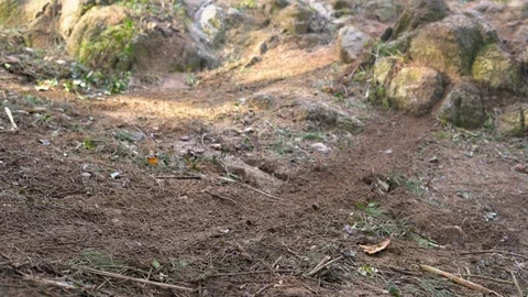Close-up of a motorcycle wheel while jumping on a stone. motocross competition Stock Footage 125451750