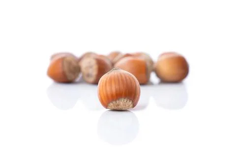 Close-up of a mound of hazelnuts, the fruit of the hazel tree, Corylus avellana Stock Photos