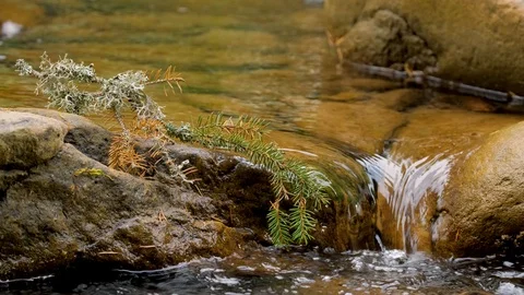 Close up of mountai stream Stock Footage 121175031