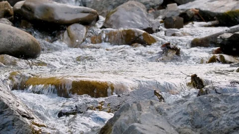 Close up of mountai stream Stock Footage 121175092