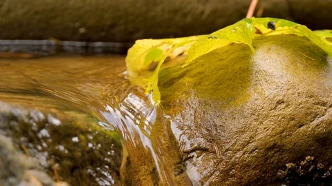Close up of mountai stream Stock Footage 121175353