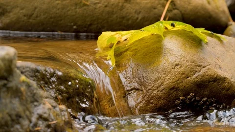 Close up of mountai stream Stock Footage 121175386