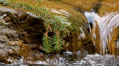 Close up of mountai stream Stock Footage 121175600