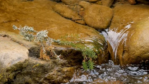 Close up of mountai stream Stock Footage 121175644