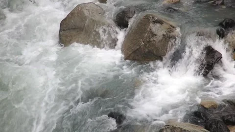 Close up on mountain clear stream running through stones in forest in National Stock-Footage 241346966