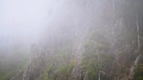 Close up of a mountain covered with mist, in a forest, India 動画素材 119313718