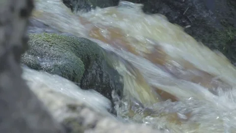 Close up of a mountain river flow 스톡 동영상 80929552