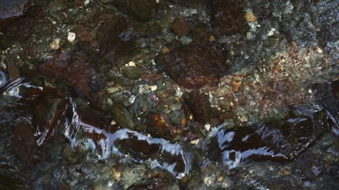 A close up of a  mountain river Stock Footage 142592040