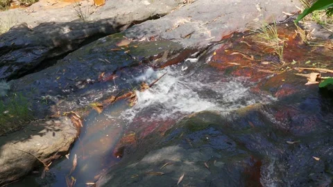 Close-up of mountain spring water stream in wild mountains Stock Footage 202292955