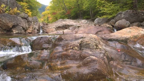 CLOSE UP: Mountain stream cascading over stones into river pool in autumn forest Stock Footage