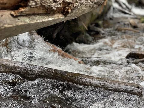 Up close Mountain Stream Fallen Tree Stock Photos