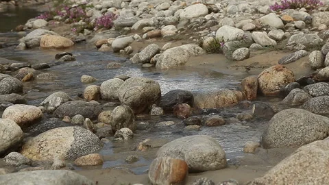 Close up of a mountain stream flowing down the stones. Stock Footage 139153264
