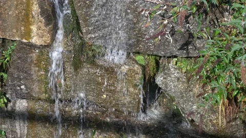 Close up mountain stream. Flowing water. Slow motion 4K Video stock 237743877