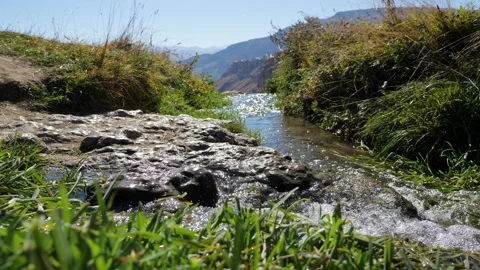 Close-up of a mountain stream with green grass along the banks of the sunlight Stock Footage 145075131