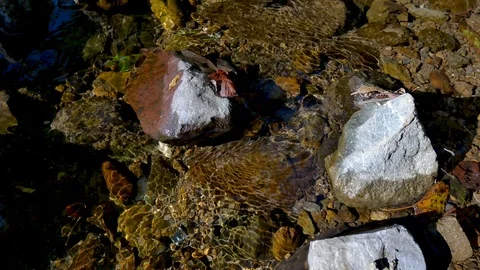 Close up of mountain water stream Stock-Footage 117332587