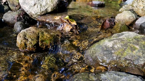 Close up of mountain water stream Stock-Footage 117332603