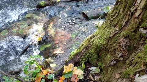 Close up of mountain water stream Video stock 154476104