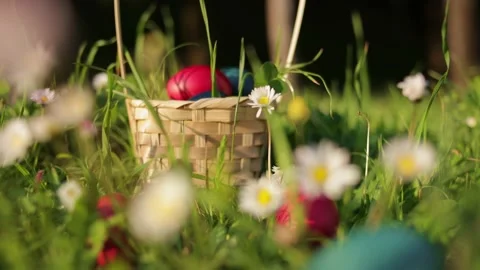 Close up moving camera to Easter eggs hidden in grass in the basket for an Stock Footage 237726112