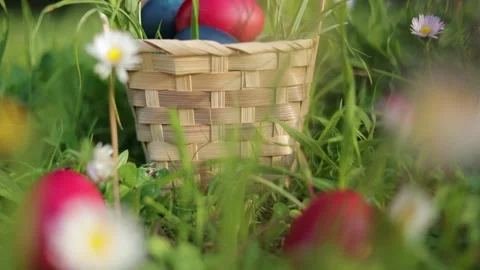 Close up moving camera to Easter eggs hidden in grass in the basket for an Stock Footage 237726565
