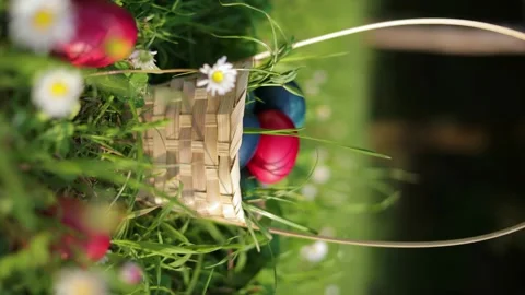 Close up moving camera to Easter eggs hidden in grass in the basket for an Stock Footage 237726708
