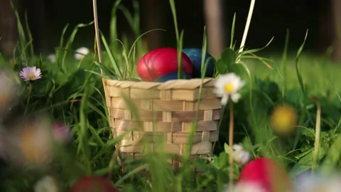 Close up moving camera to Easter eggs hidden in grass in the basket for an Stock Footage 237726831