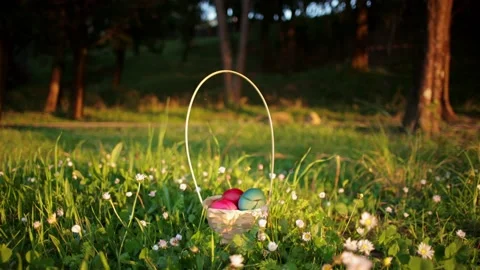 Close up moving camera to Easter eggs hidden in grass in the basket for an Stock Footage 237727588