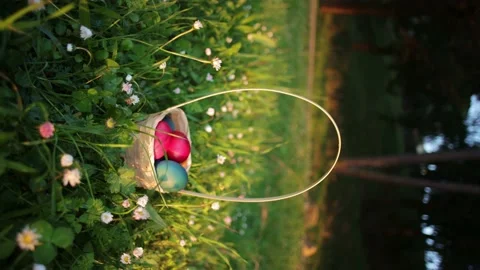 Close up moving camera to Easter eggs hidden in grass in the basket for an Stock Footage 237727928