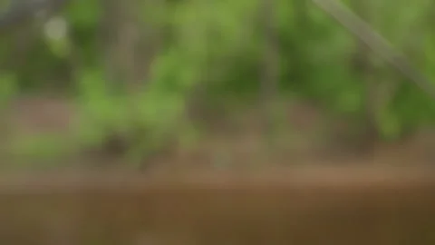 Close up of moving fishing rod tip and line being cast into water with green Stock Footage 345082089