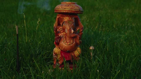 Close-up, moving forward, Ganesha standing in the grass with a row of steaming Stock Footage 250348370