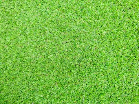Close up moving forward over a bright green fresh field, completely green bac Stock Photos