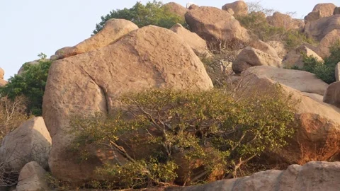 Close moving shot of large rocks, Large rocks footage Vídeo Stock 151944312