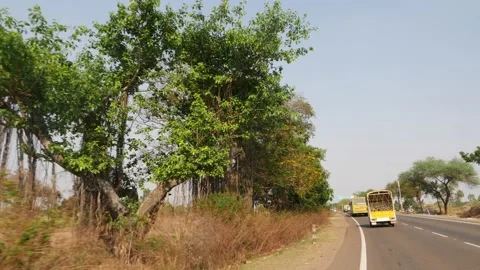 Close moving shot of trees and greenery along the running road Video stock 151957790