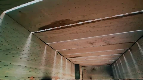 Close Up Moving Shot Of The Underside Of A Boardwalk Stock Footage 255322056