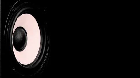 Close up at moving sub-woofer. Speaker p... | Stock Video | Pond5