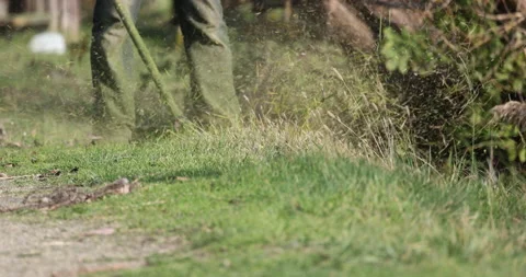 Close mowing, 4K slomo Stock Footage 166217392