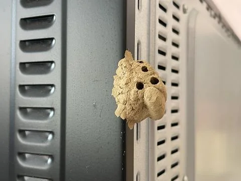 Close Up Of A Mud Wasp Nest Attached To Oven Metal Ventilation Foto stock