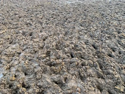 Close up of muddy ground Stock Photos