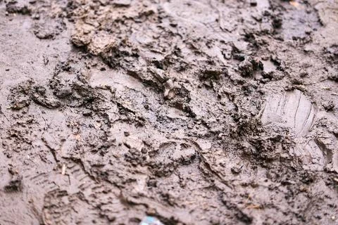 Close-up of a muddy off-road path with tire tread imprints, illustrating bad  Stock Photos
