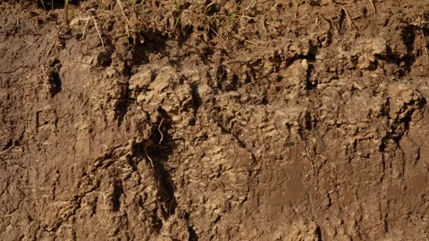 Close up of muddy soil texture moving Stock Footage 341294598