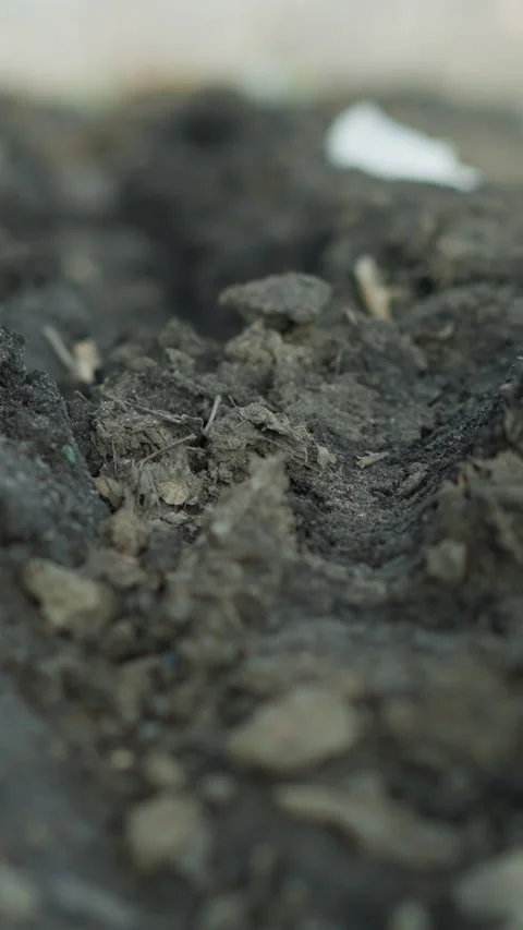 Close-Up of Muddy Trench with Leaf-Covered Ground and Debris Stock Footage 316505055